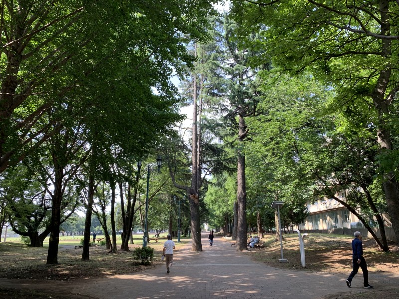 Iruma Park Iruma Park