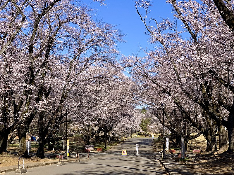 Inariyama Park Inariyama Park