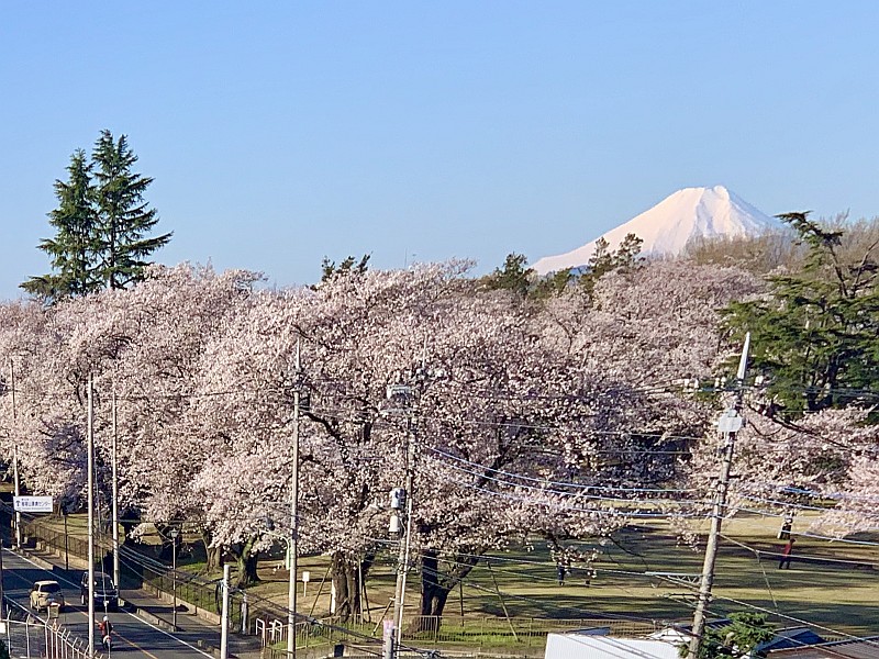 Inariyama Park Inariyama Park