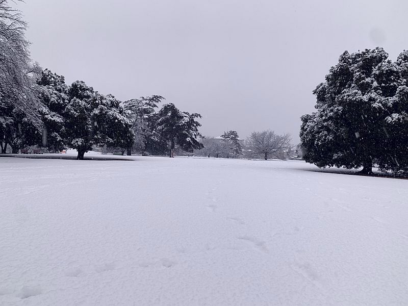 Irumagawa Park Irumagawa Park