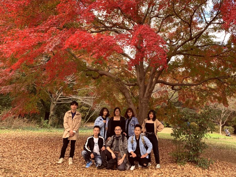 Showa Memorial Park