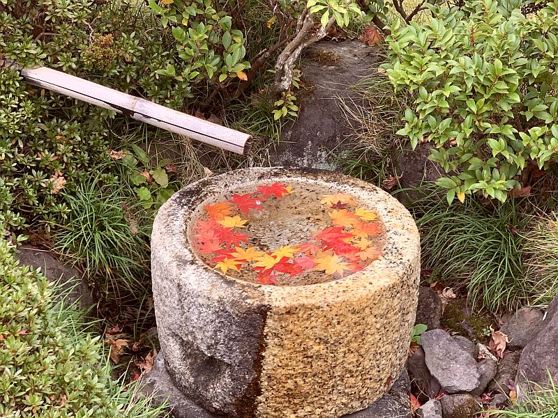 Showa Memorial Park